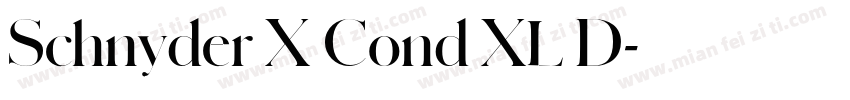 Schnyder X Cond XL D字体转换